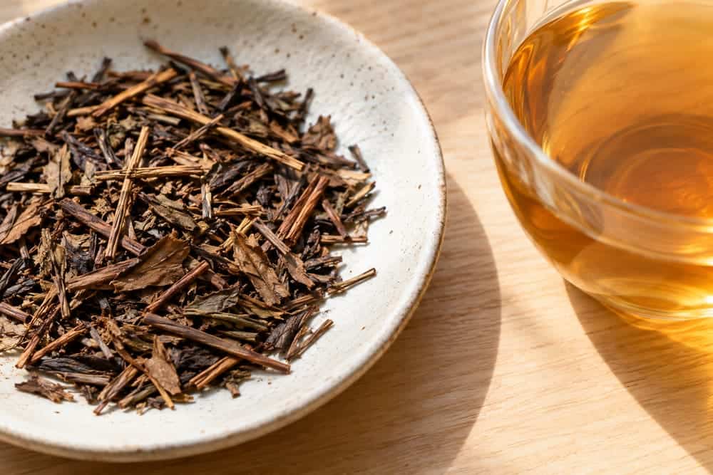 Roasted brown hojicha leaves and stems beside clear amber tea