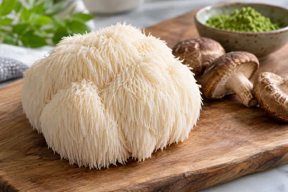 Lion’s mane and shiitake mushrooms on a wooden board with matcha powder behind them