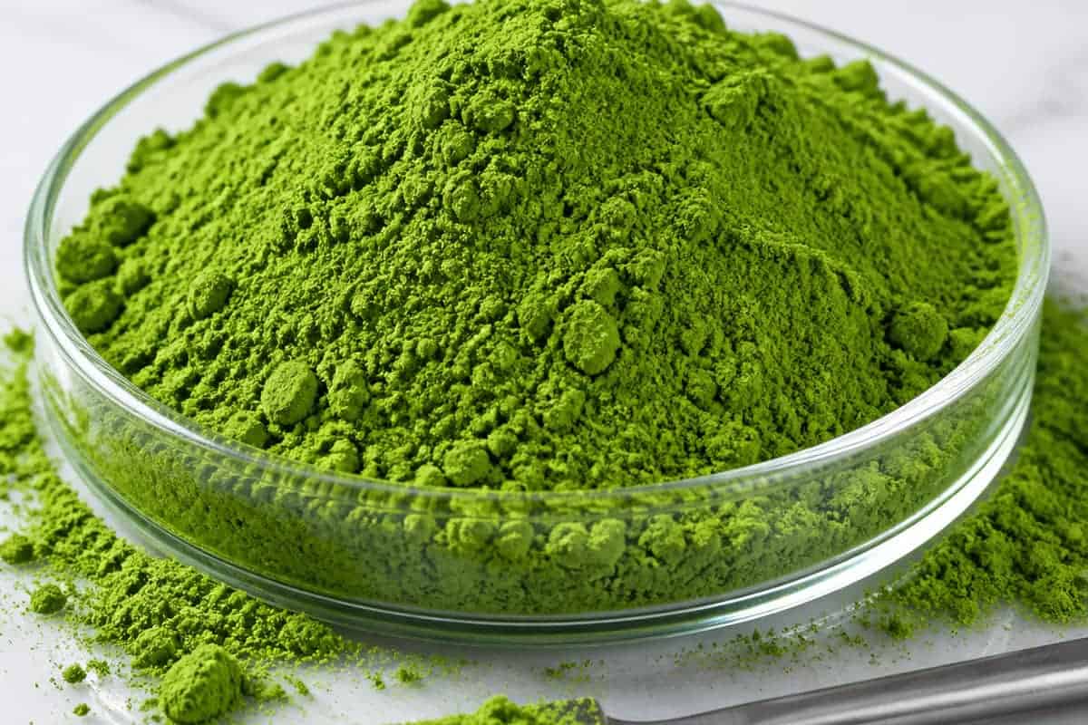 Moringa vs Matcha: Two Different Leaf Powders 2 Green matcha powder in a shallow glass dish
